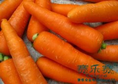 排毒瘦身的好方法 4个减肥排毒食谱别错过